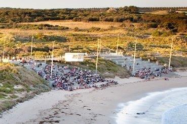 Penguin Parade General Viewing