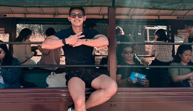 Steam Train & Phillip Island Penguin Parade Day Tour (Small Group, Lunch Included)