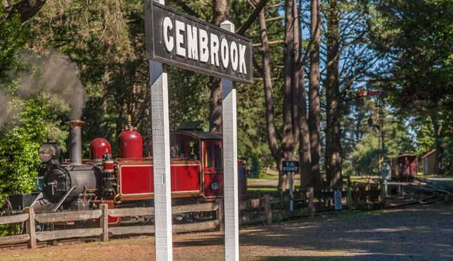 Small Group of 20 | Steam Train and Penguin Island 1-Day Tour-10