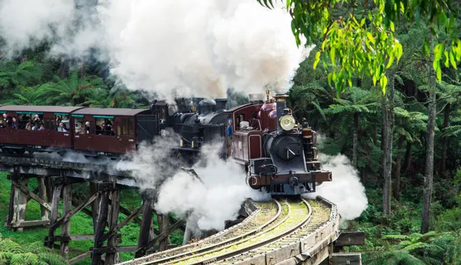 Small Group of 20 | Steam Train and Penguin Island 1-Day Tour-15