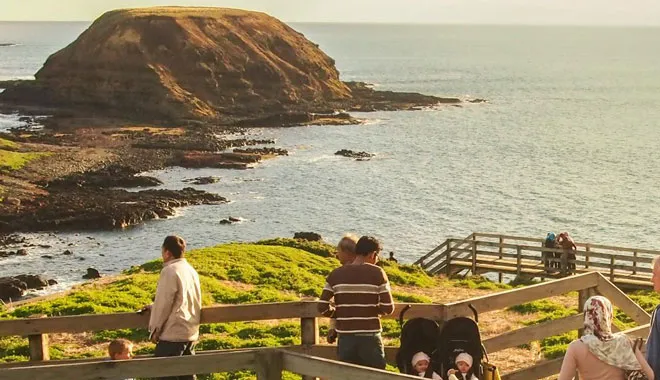 Small Group of 20 | Steam Train and Penguin Island 1-Day Tour-16