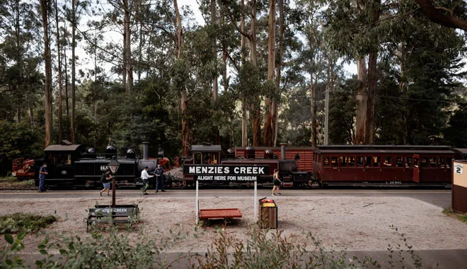 Small Group of 20 | Steam Train and Penguin Island 1-Day Tour-18