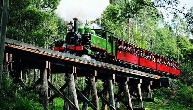 Small Group of 20 | Steam Train and Penguin Island 1-Day Tour-19