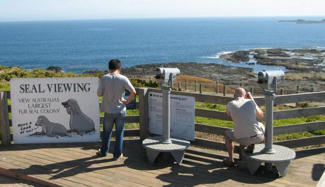 The Nobbies Phillip Island