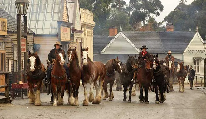 managers-pick-goldfields-and-ballarat-botanic-gardens-day-tour-chinese-11