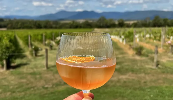 steam-train-and-chandon-winery-tour-in-the-yarra-valley-1-day-tour-1