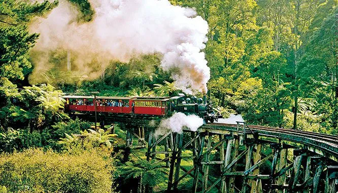 steam-train-and-chandon-winery-tour-in-the-yarra-valley-1-day-tour-11