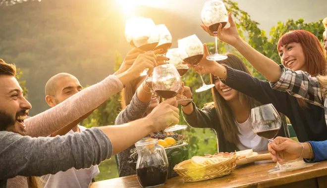 steam-train-and-chandon-winery-tour-in-the-yarra-valley-1-day-tour-12