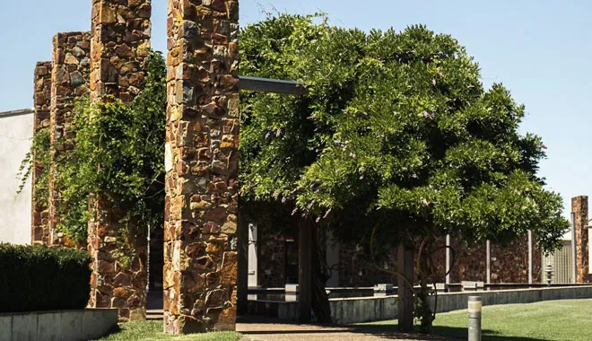 steam-train-and-chandon-winery-tour-in-the-yarra-valley-1-day-tour-14