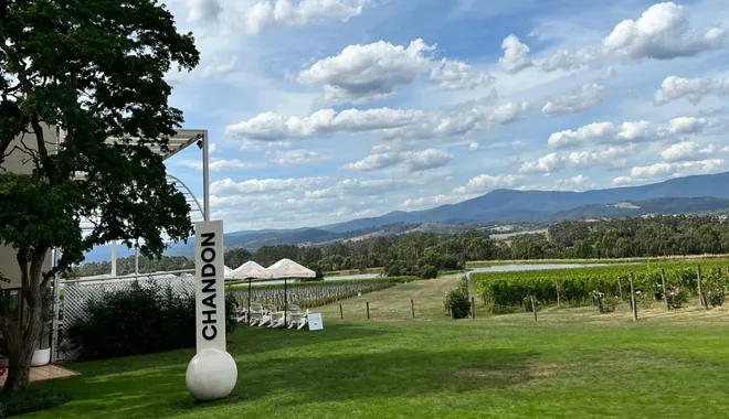 steam-train-and-chandon-winery-tour-in-the-yarra-valley-1-day-tour-2