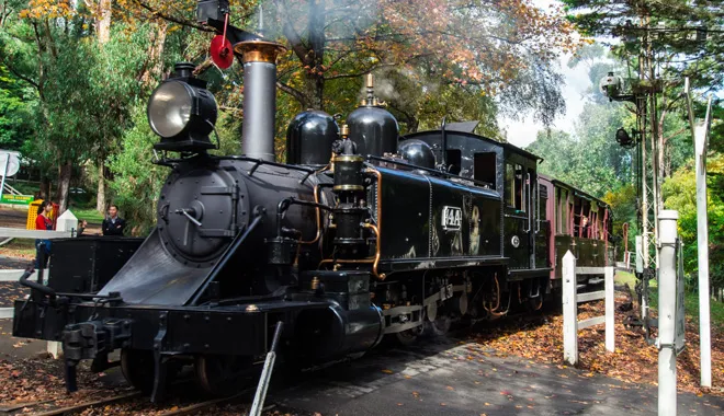 steam-train-and-chandon-winery-tour-in-the-yarra-valley-1-day-tour-5