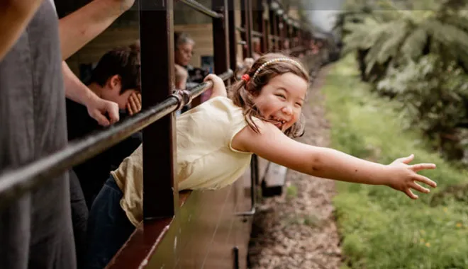 steam-train-and-chandon-winery-tour-in-the-yarra-valley-1-day-tour-7