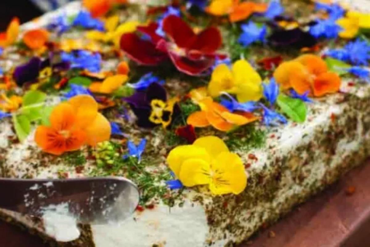 Adelaide Highlights Tour1