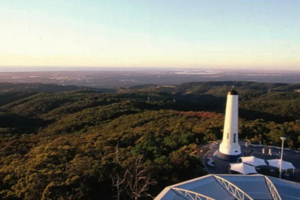 Adelaide Highlights Tour2