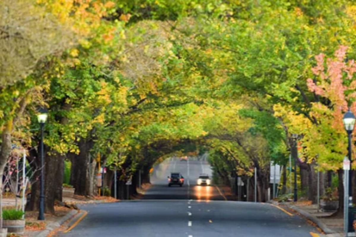 Adelaide Hills Hahndorf German Village Tour (2)