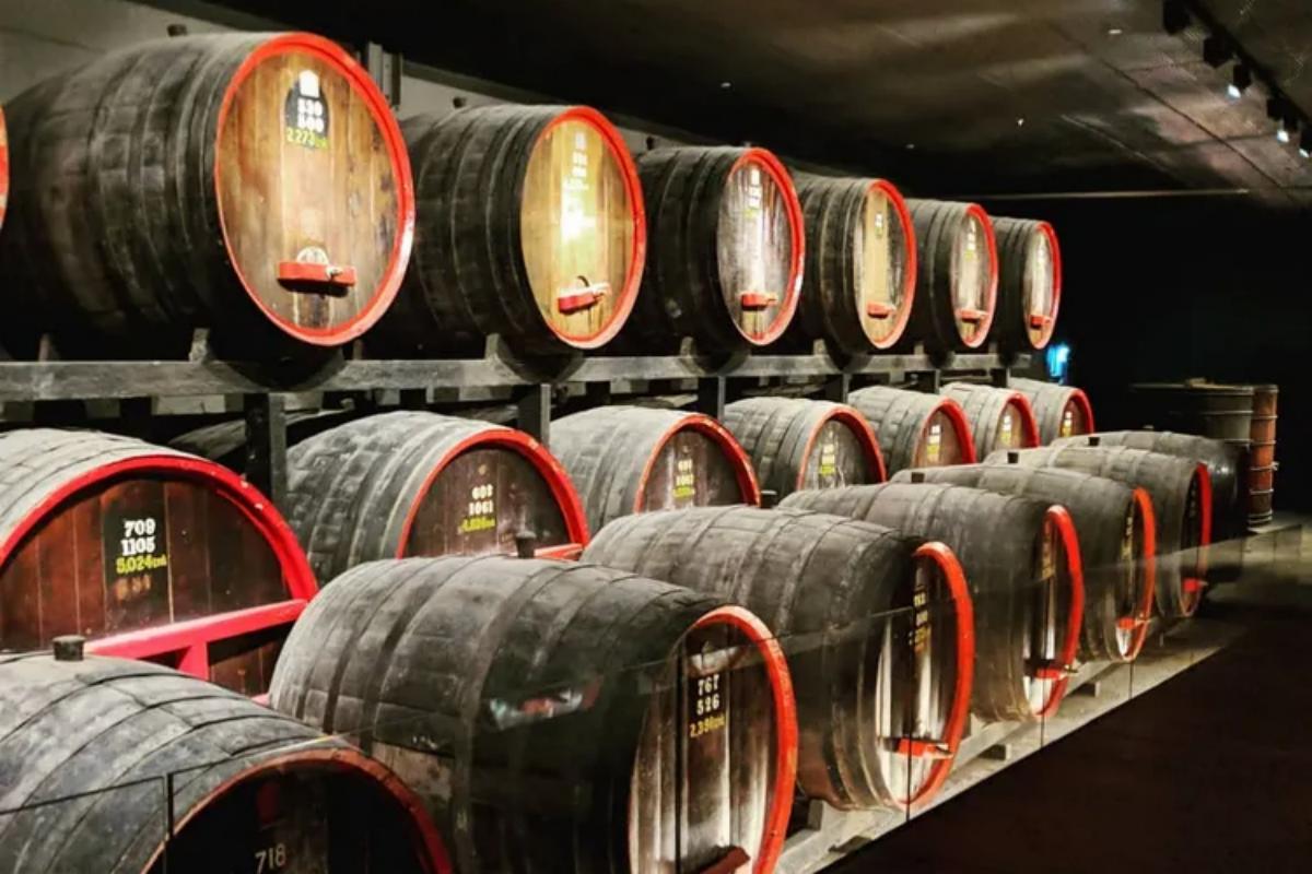 Barossa Valley Wine Tour from Adelaide (3)