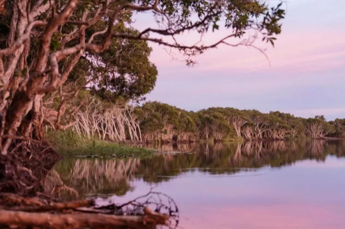 Byron Bay Scenic Tour with Heritage Train & Lake Ainsworth (3)