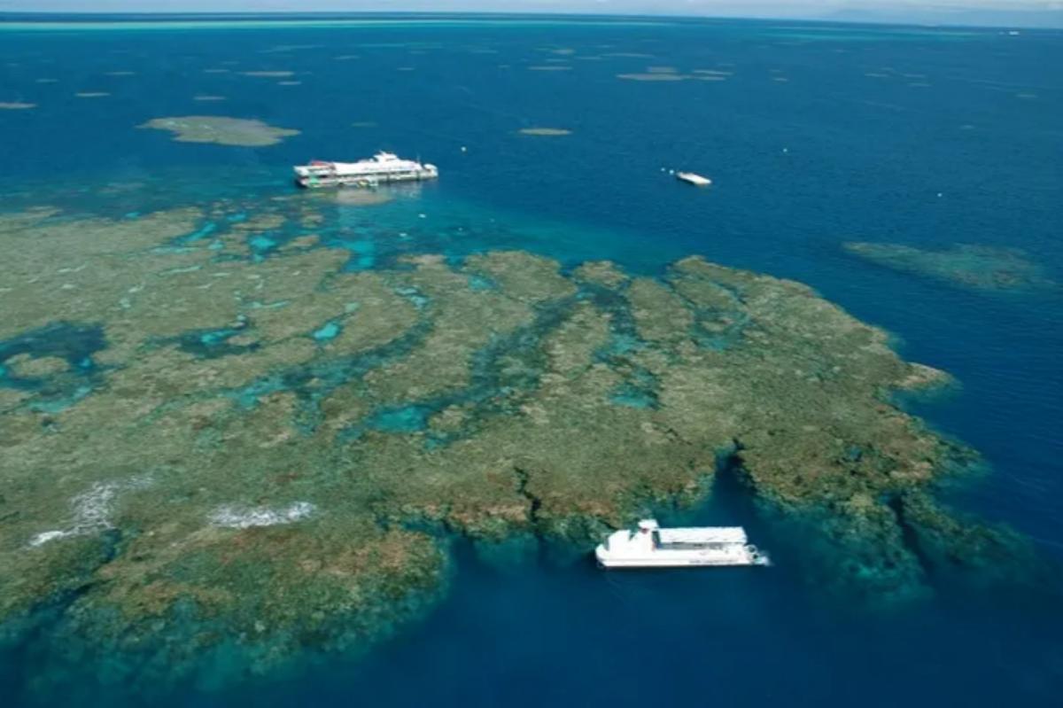 Cairns Reef Magic Outer Great Barrier Reef Day Tour3