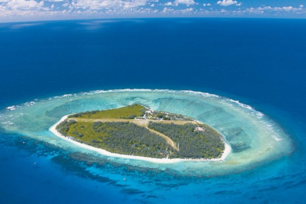 Cairns Reef Magic Outer Great Barrier Reef Day Tour4