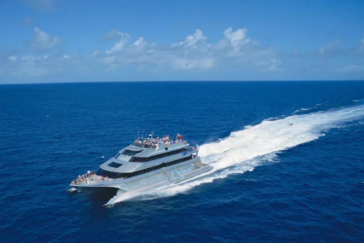 Cairns Silver Swift Agincourt Outer Great Barrier Reef 1