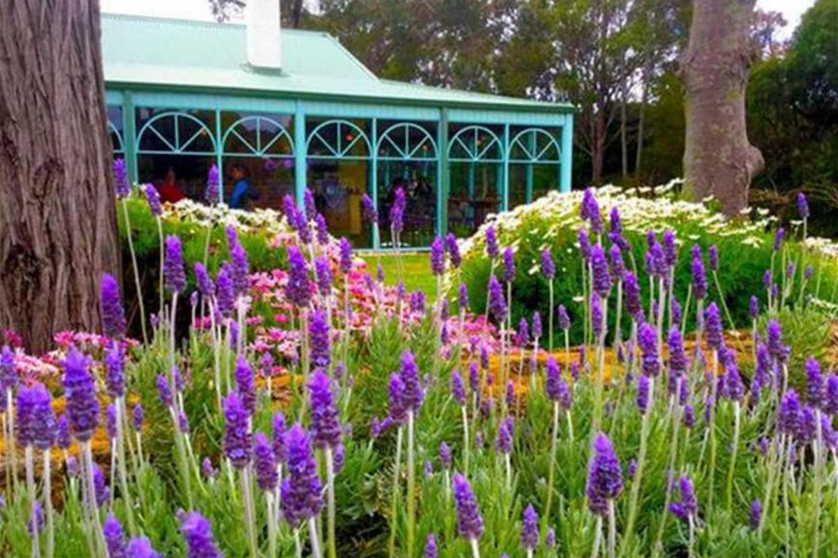 Cape Lavender Teahouse