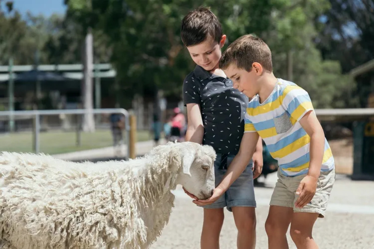 Gold Coast Theme Park Multi-Day Pass (18)