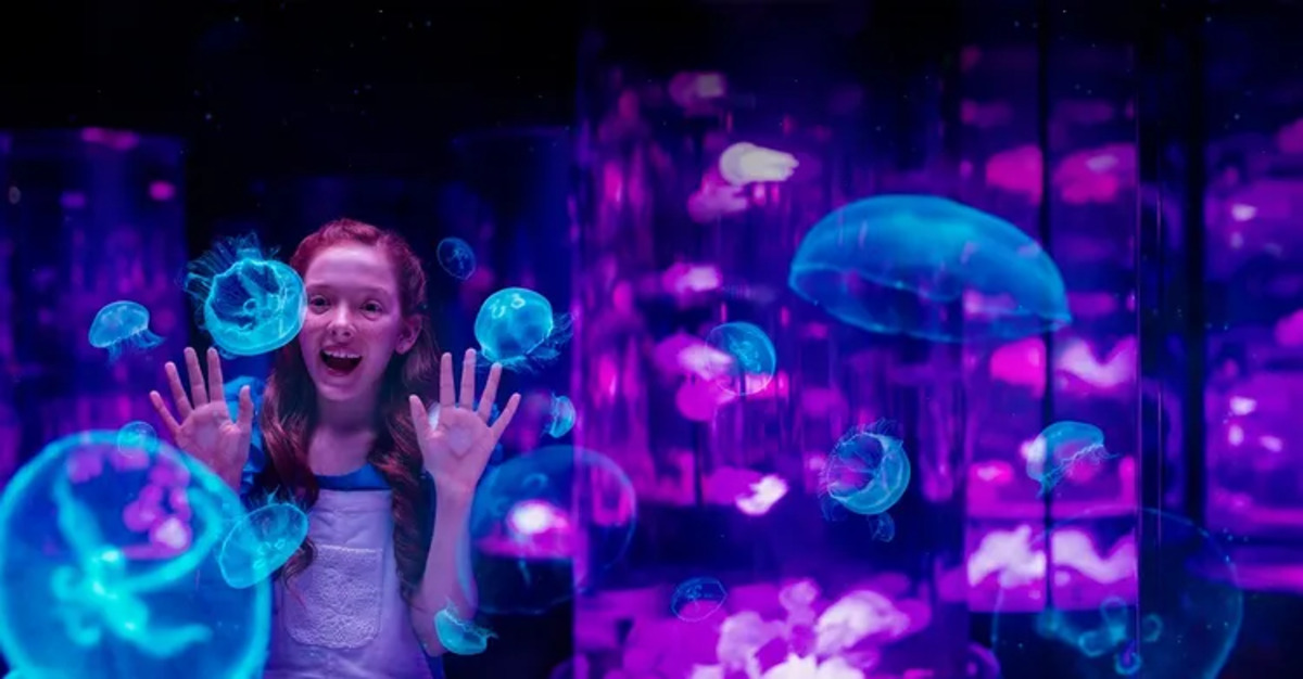 Gold Coast Theme Park Multi-Day Pass (29)