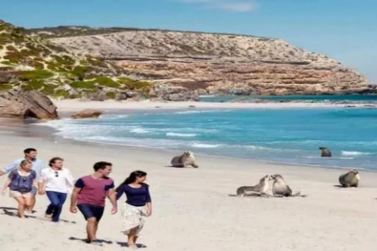 Kangaroo Island Wilderness Tour (2)