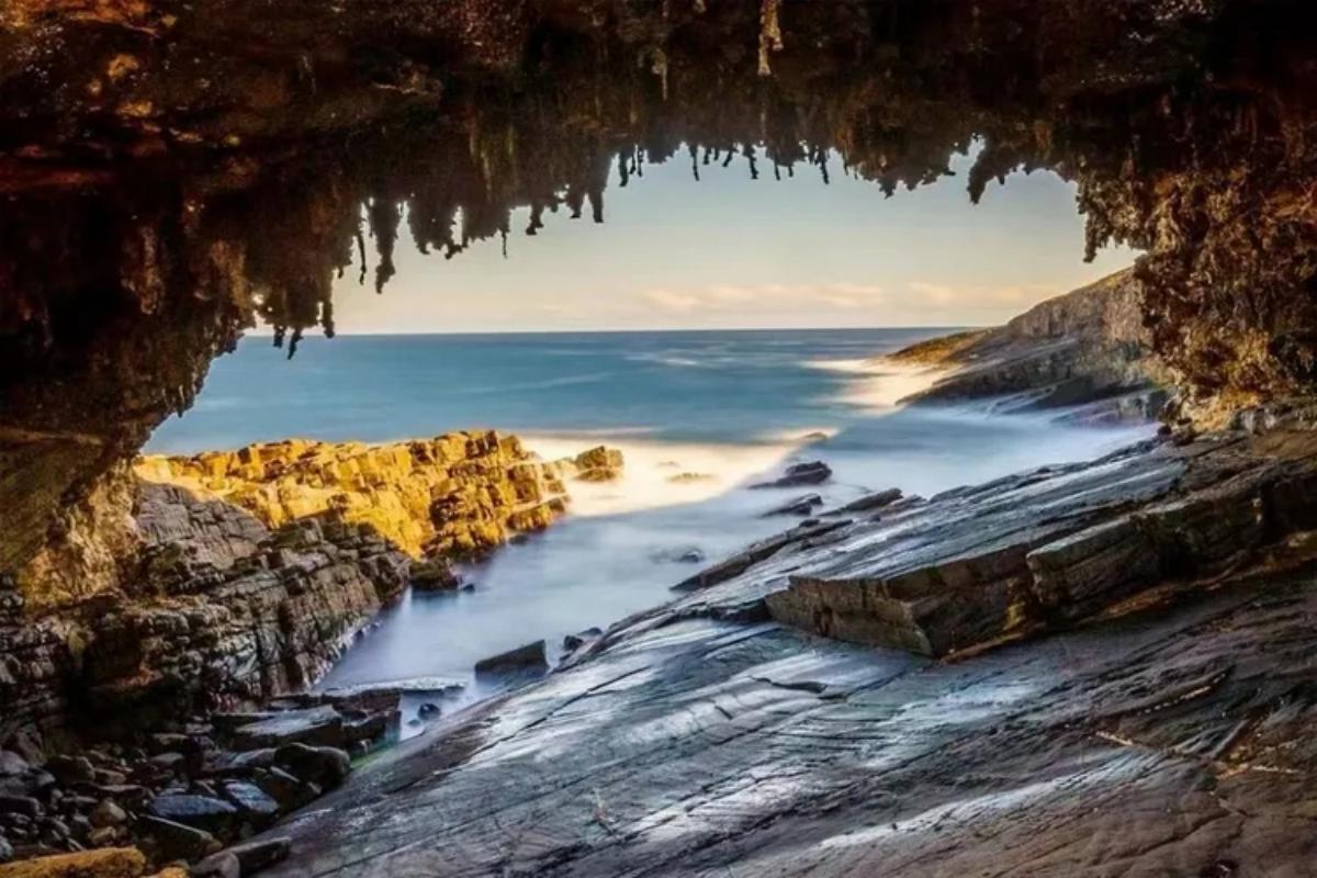 Kangaroo Island Wilderness Tour (3)