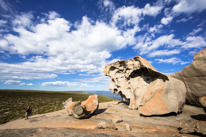 Kangaroo Island Wilderness Tour