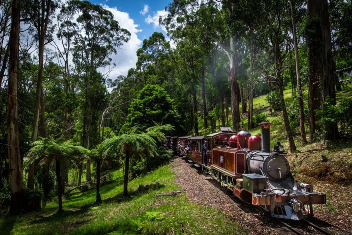Melbourne Puffing Billy Steam Train2(1)