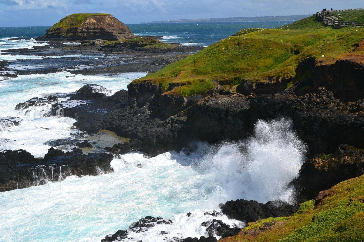 Melbourne The Nobbies & Seal Rocks