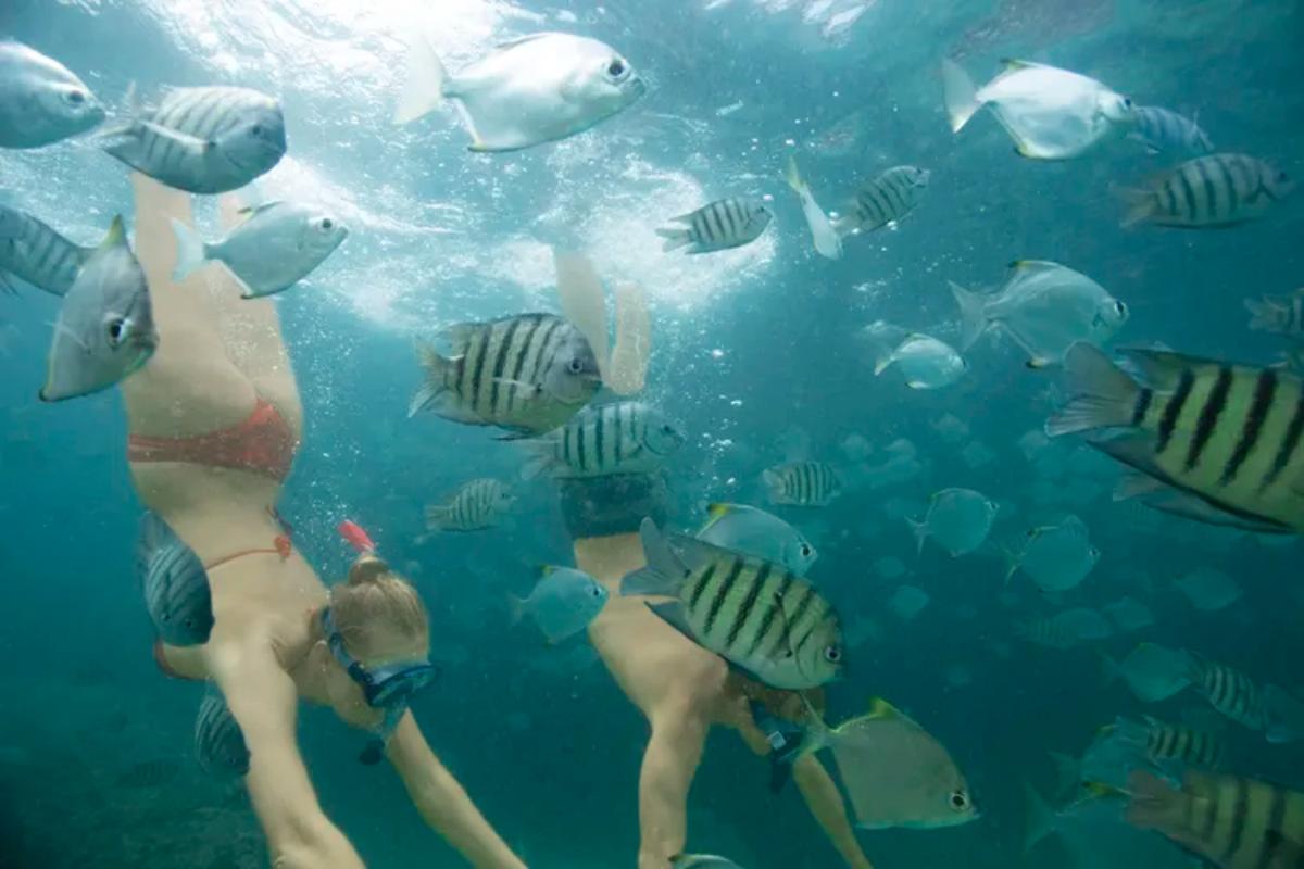 Moreton Island Day Trip (2)(1)