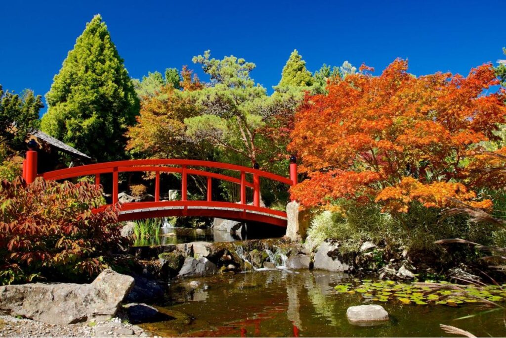 Royal Botanic Garden