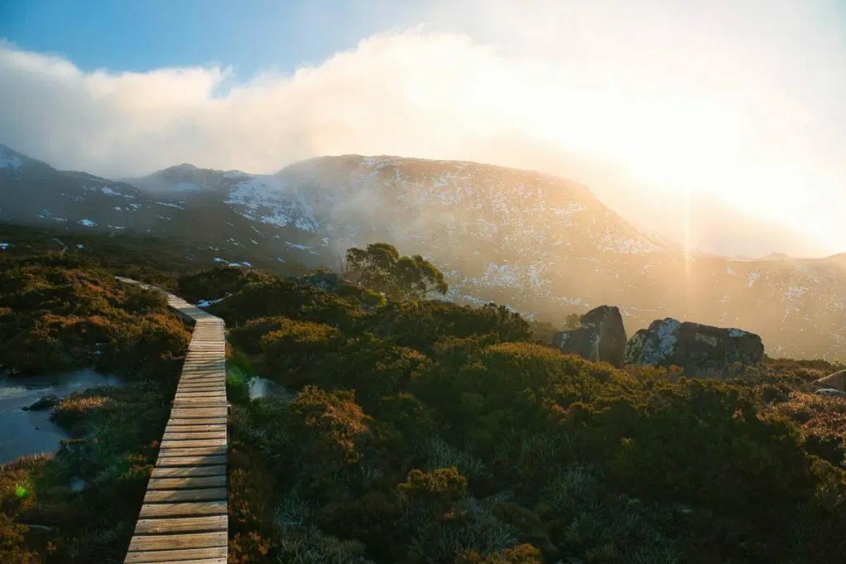 Mountain Field National Park
