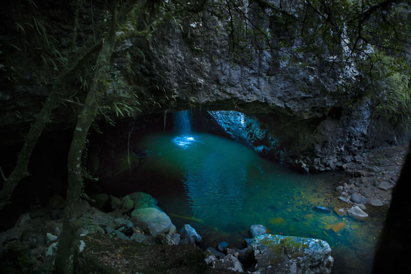 Night Tour Gold Coast4