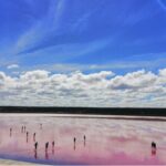 Pink Lake