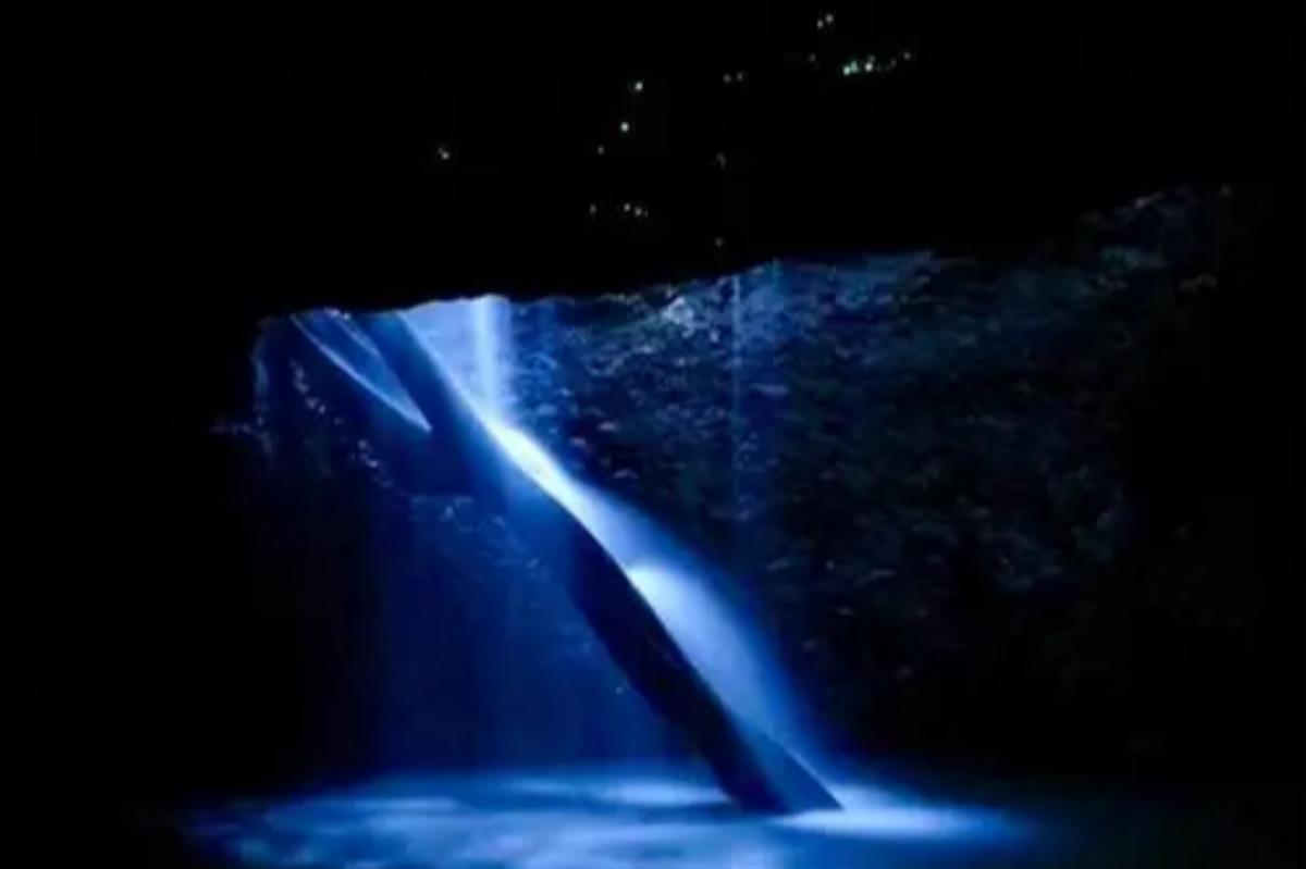 Springbrook-National-Park-Glow-Worms-Natural-Bridge-Cave(1)