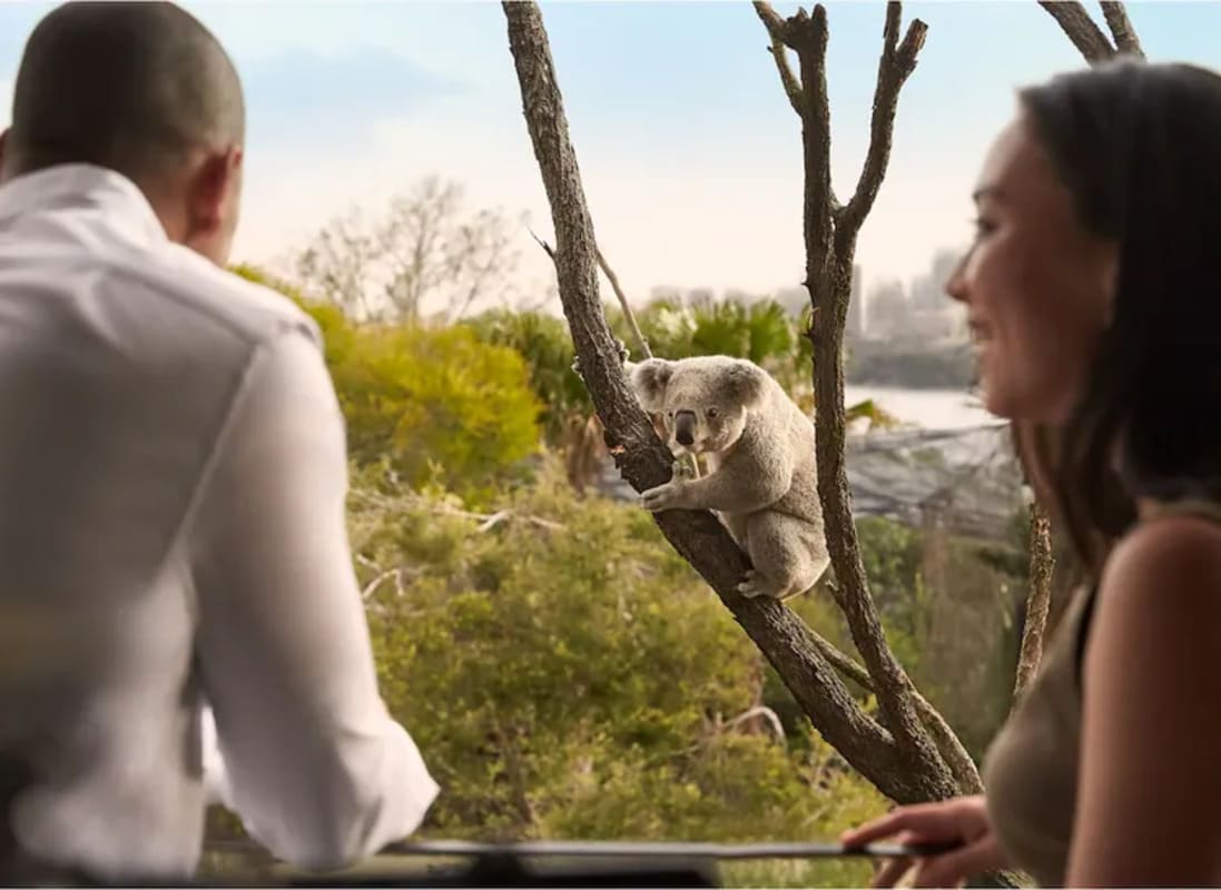 Sydney Wildlife Retreat at Taronga Zoo & Opera House (9)