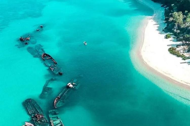 Tangalooma Dolphin Feeding Getaway (4)