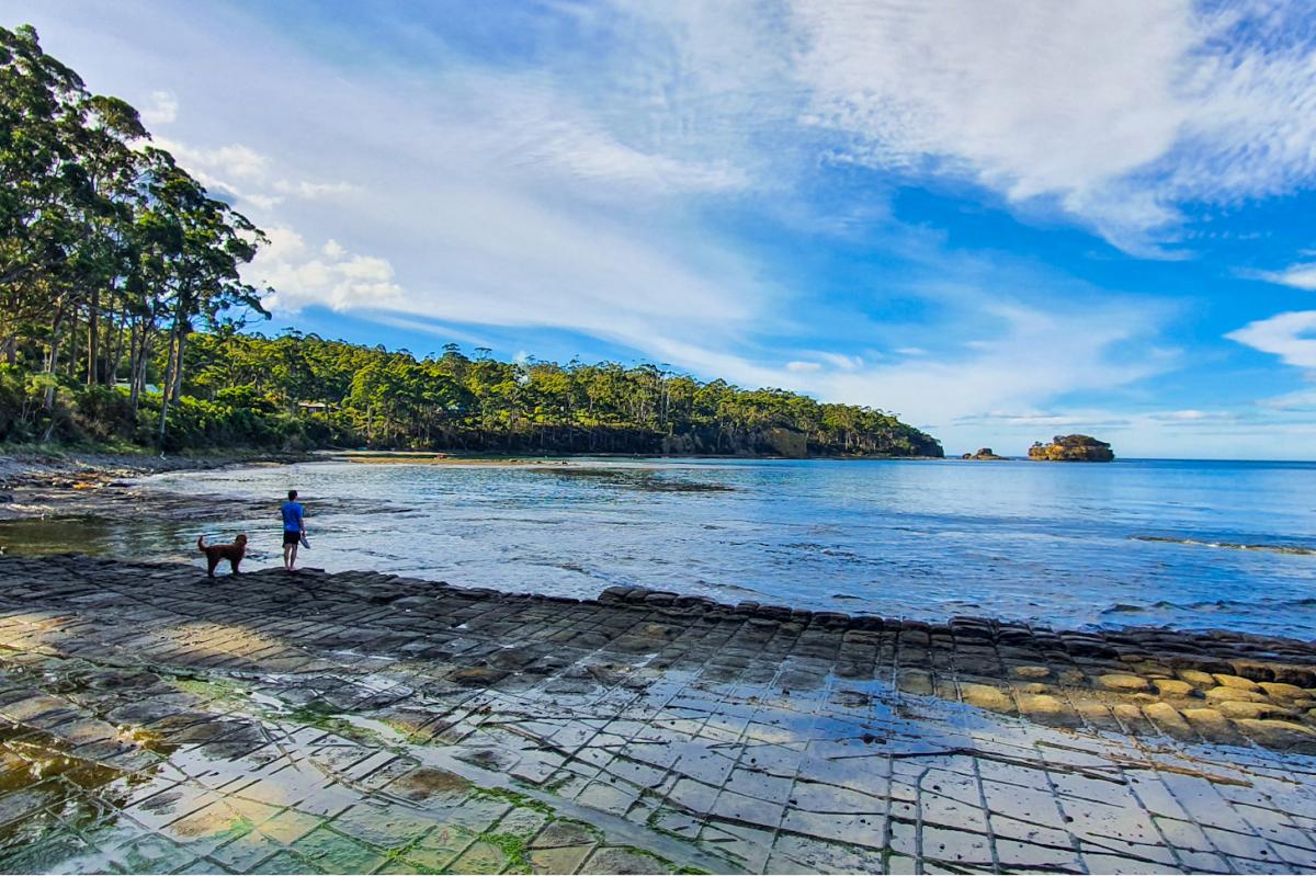 Tessellated Pavement