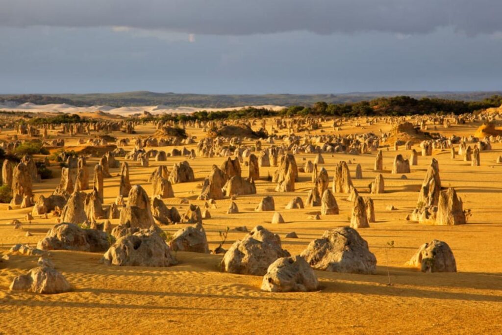 The Pinnacles Desert