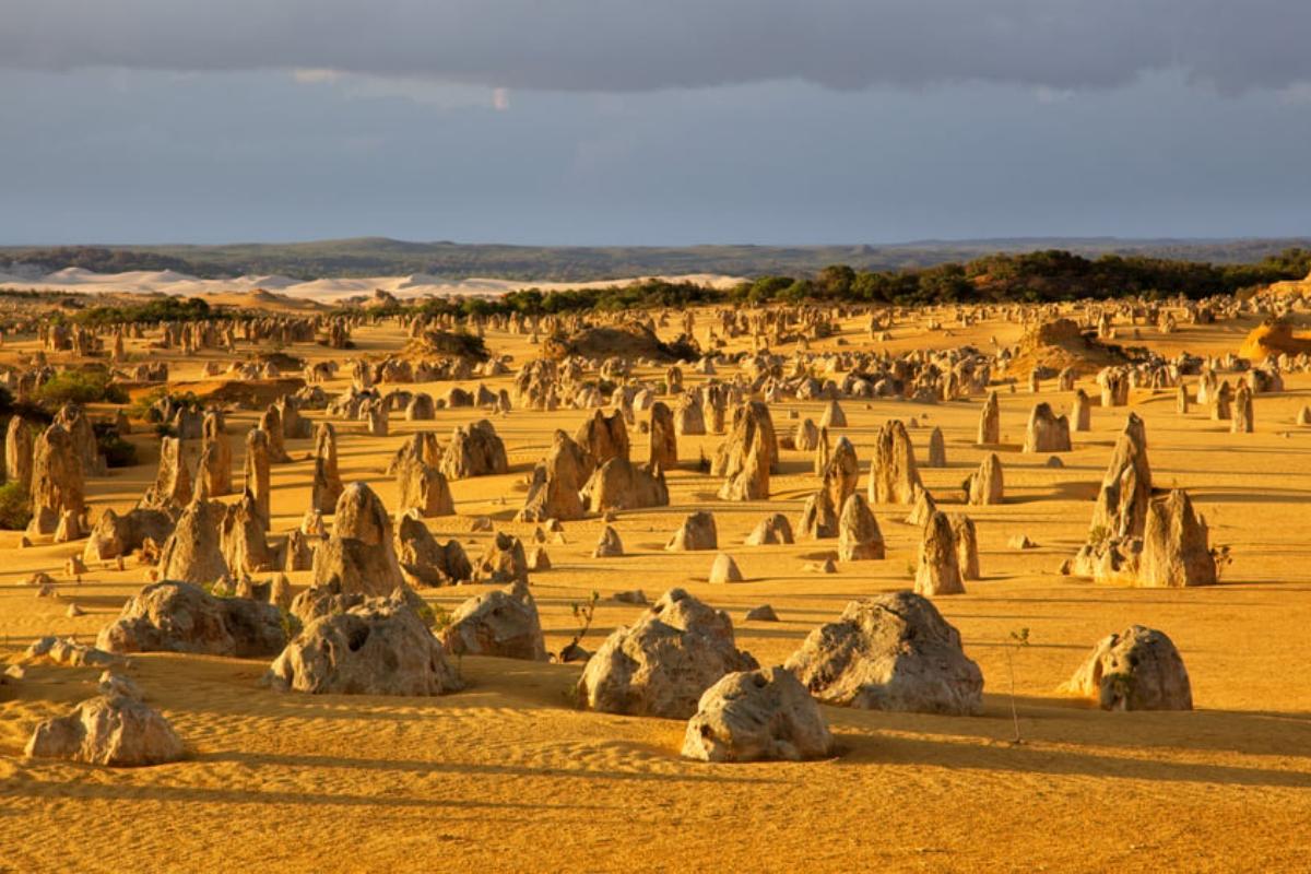 The Pinnacles Desert