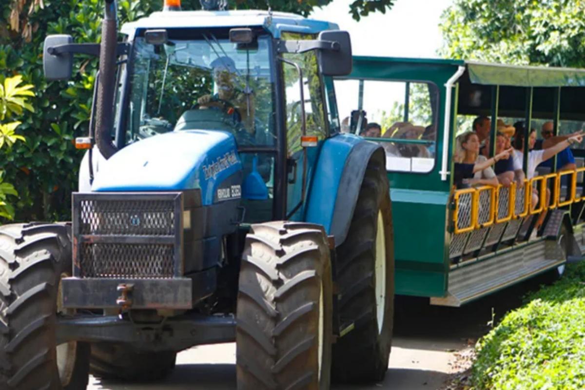 Tropical Fruit World Gold Coast Scenic Day Tour (3)(1)