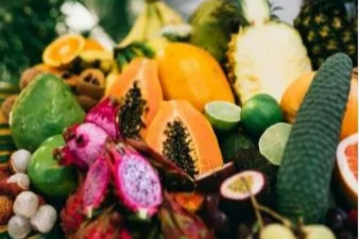 Tropical Fruit World Gold Coast Scenic Day Tour (4)(1)