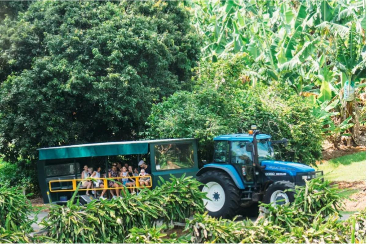 Tropical Fruit World Gold Coast Scenic Day Tour(1)