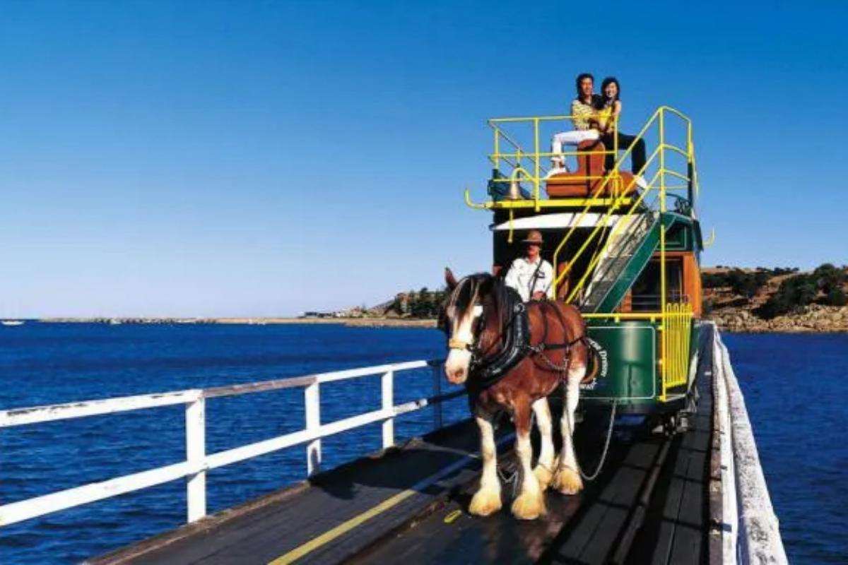 Victor Harbor to McLaren Vale Day Tour (2)