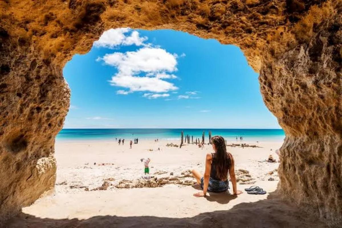 Victor Harbor to McLaren Vale Day Tour