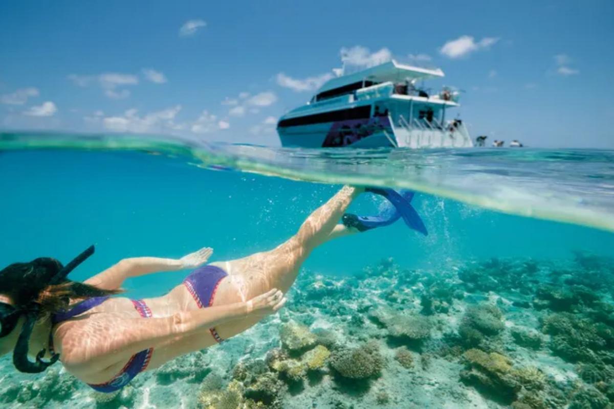 Whitsundays Airlie Beach Hardy Reef Return Cruise Day Tour