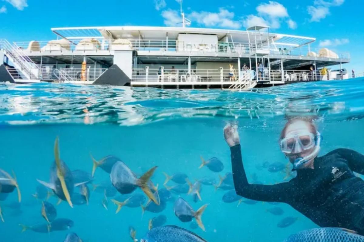 Whitsundays Airlie Beach Hardy Reef Return Cruise Day Tour3